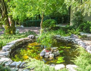 *Санаторий "Мыс Видный"